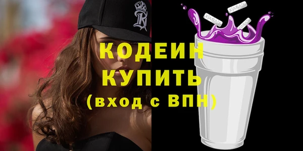 2c-b Бородино