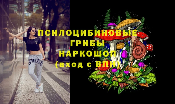 2c-b Бородино