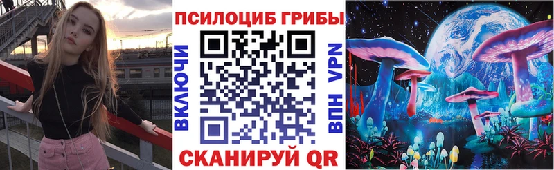 Галлюциногенные грибы Psilocybe  Кондопога 